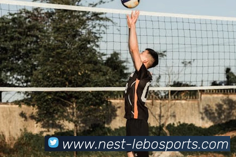 体育下注平台生态图