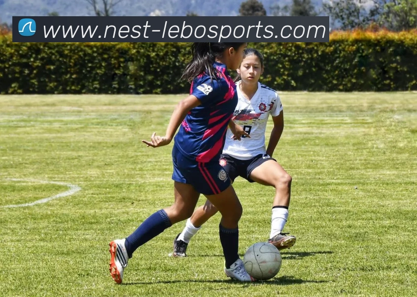 体育下注APP 封面图